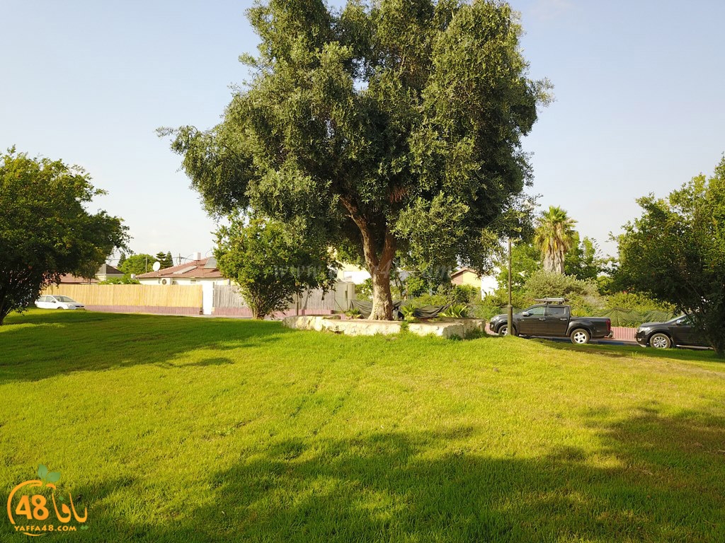 Yaozooor ej (15).JPG